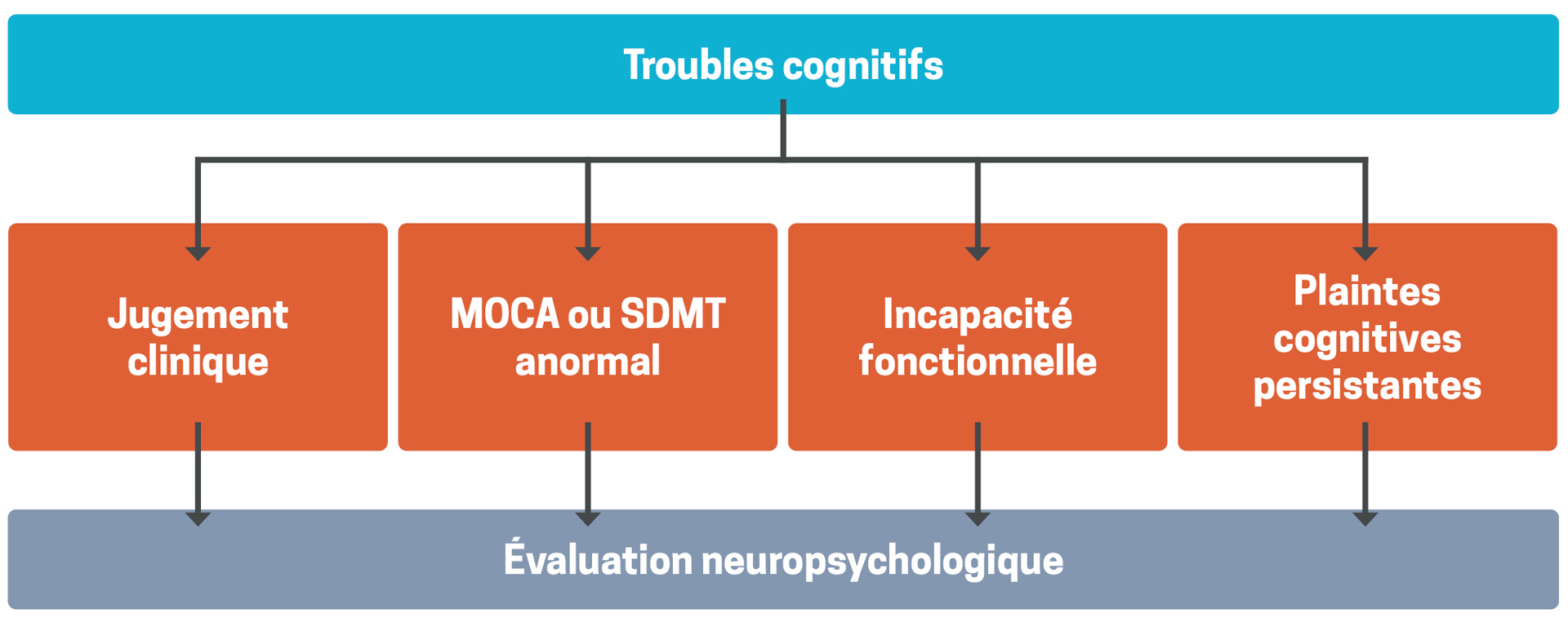 Arbre décisionnel pour l'évaluation neurpsychologique